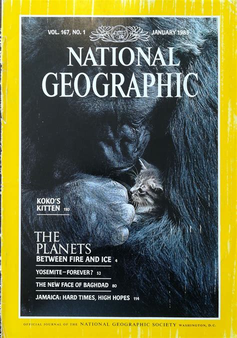 Discovering National Geographic's Hidden Gems: Unearthing Forgotten Tales